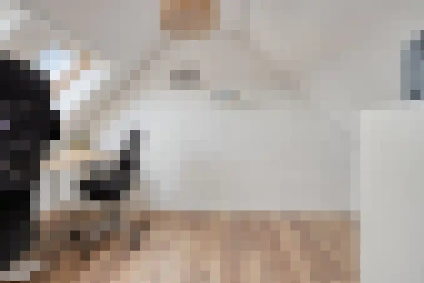 Penningkruid 7 Sneek thumbnail 26