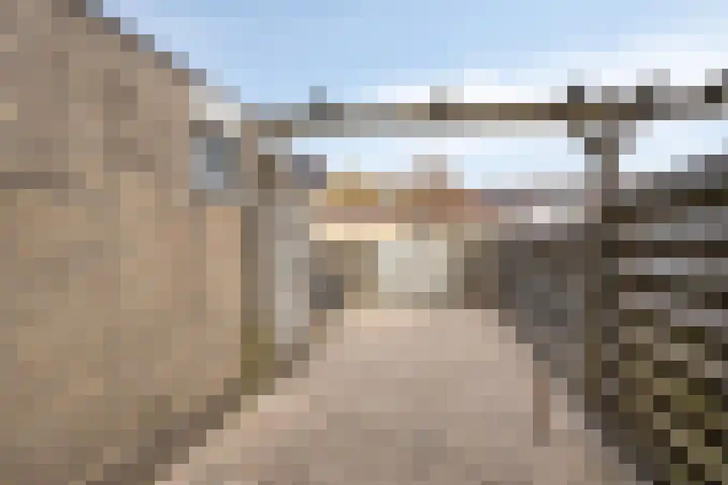 Penningkruid 7 Sneek thumbnail 31