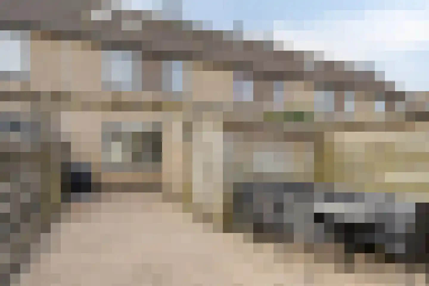Penningkruid 7 Sneek thumbnail 32