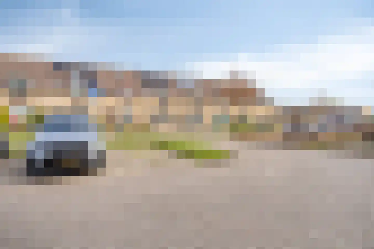 Penningkruid 7 Sneek thumbnail 36