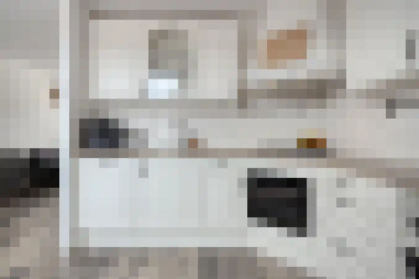 Penningkruid 7 Sneek thumbnail 5