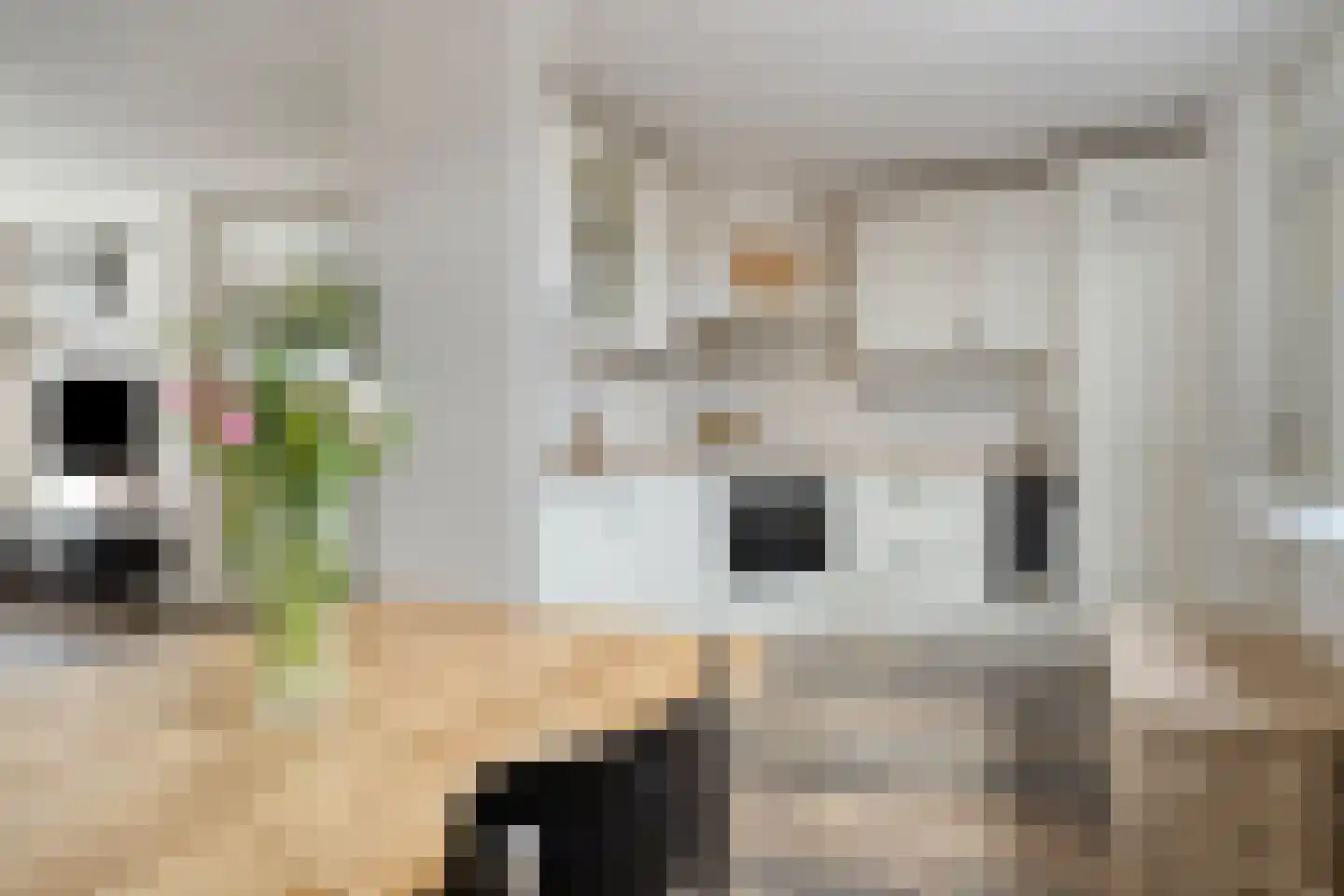 Penningkruid 7 Sneek thumbnail 6