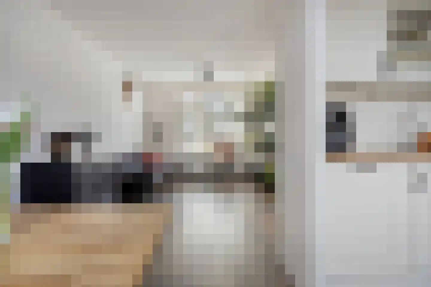 Penningkruid 7 Sneek thumbnail 7