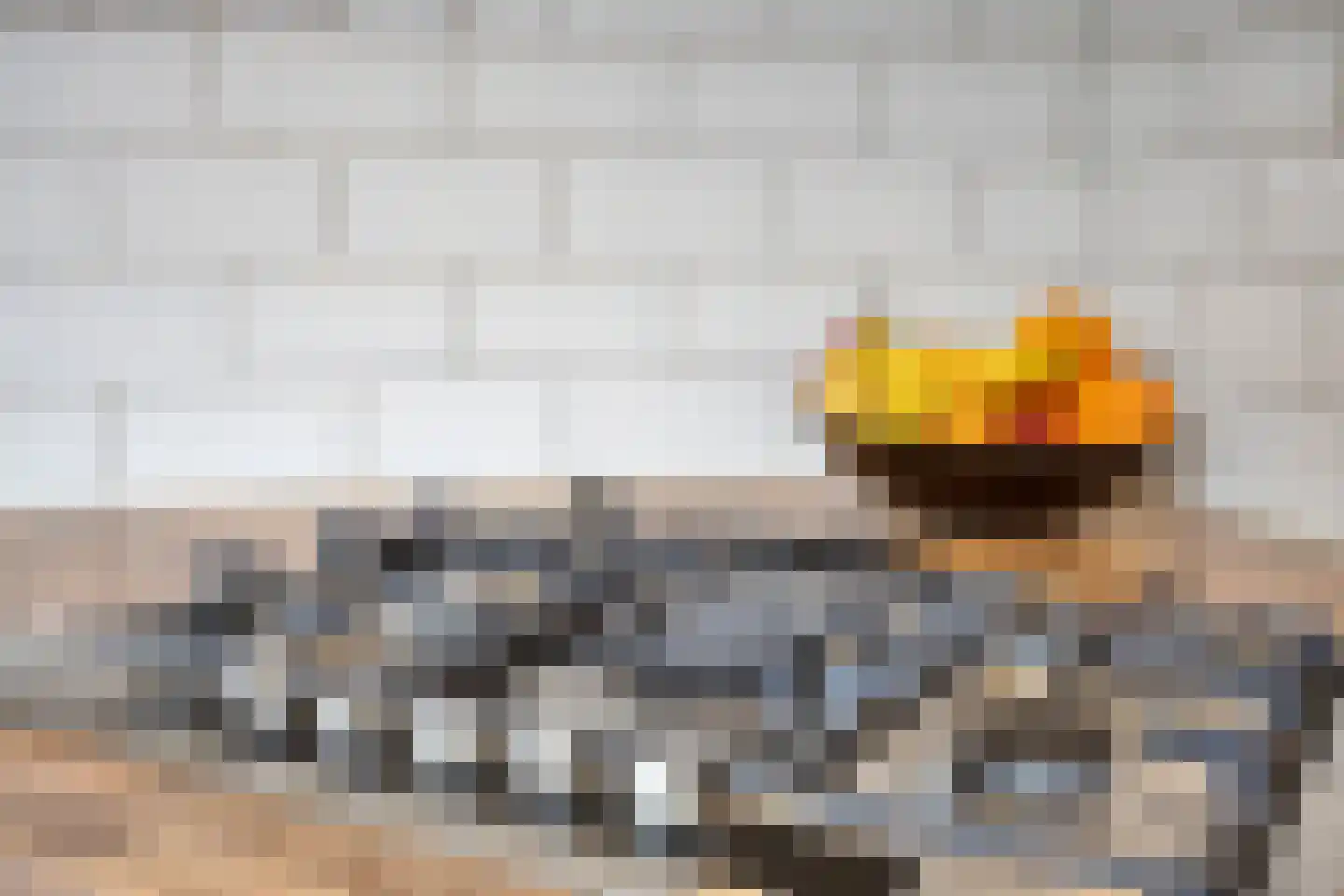 Penningkruid 7 Sneek thumbnail 9
