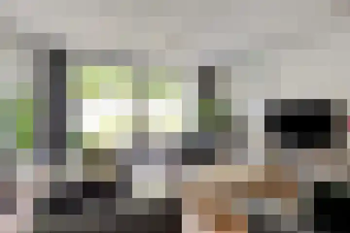 Penningkruid 73 Cuijk thumbnail 10