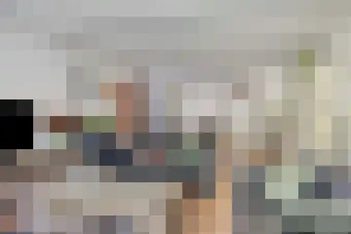 Penningkruid 73 Cuijk thumbnail 11