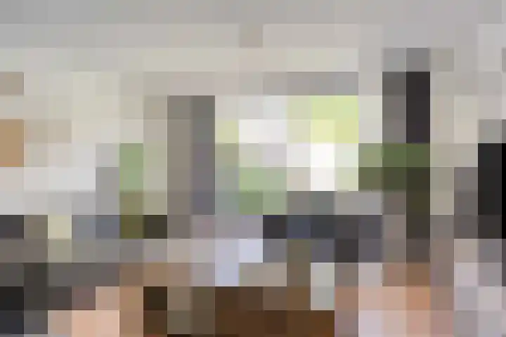 Penningkruid 73 Cuijk thumbnail 12