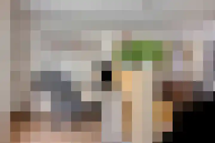 Penningkruid 73 Cuijk thumbnail 15