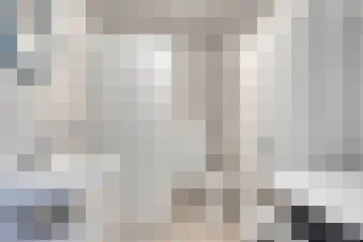 Penningkruid 73 Cuijk thumbnail 20