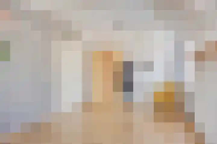 Penningkruid 73 Cuijk thumbnail 22
