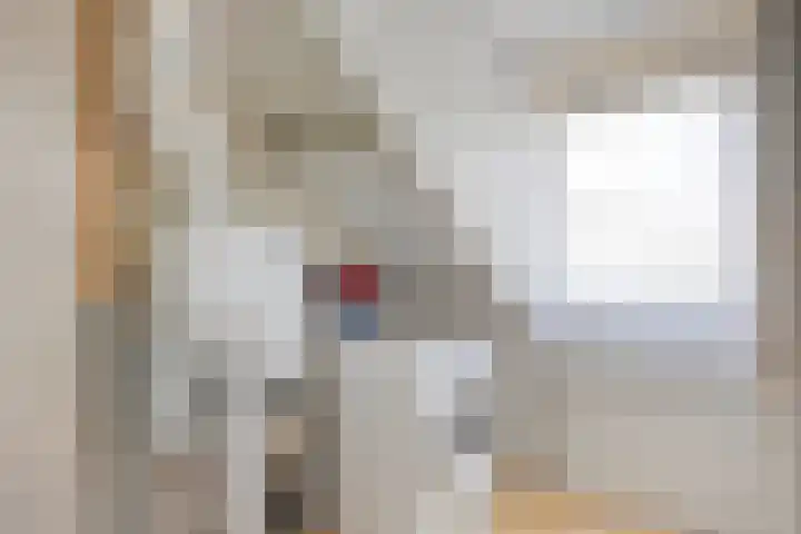 Penningkruid 73 Cuijk thumbnail 23