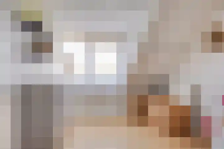 Penningkruid 73 Cuijk thumbnail 25
