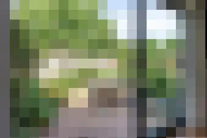 Penningkruid 73 Cuijk thumbnail 27