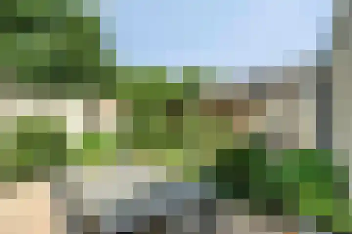 Penningkruid 73 Cuijk thumbnail 28