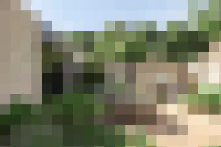 Penningkruid 73 Cuijk thumbnail 29