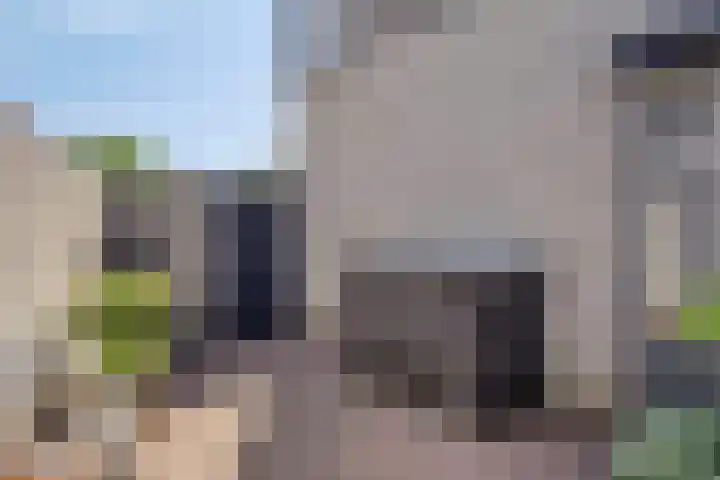 Penningkruid 73 Cuijk thumbnail 31