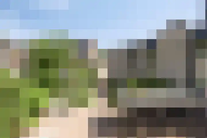Penningkruid 73 Cuijk thumbnail 33