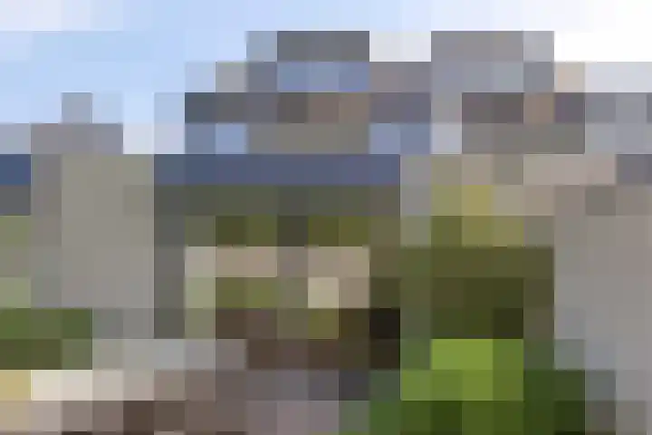 Penningkruid 73 Cuijk thumbnail 34