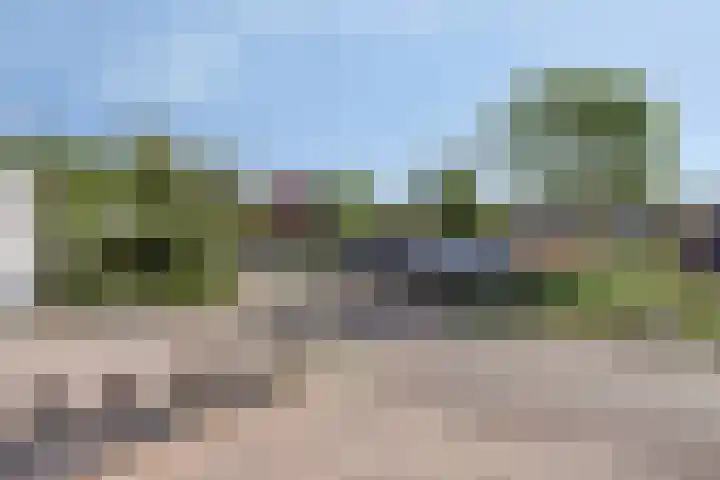 Penningkruid 73 Cuijk thumbnail 35