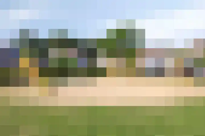 Penningkruid 73 Cuijk thumbnail 36