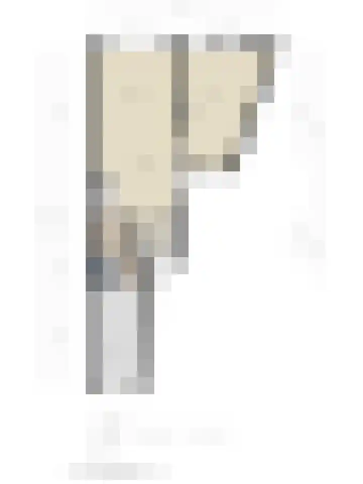 Penningkruid 73 Cuijk thumbnail 37