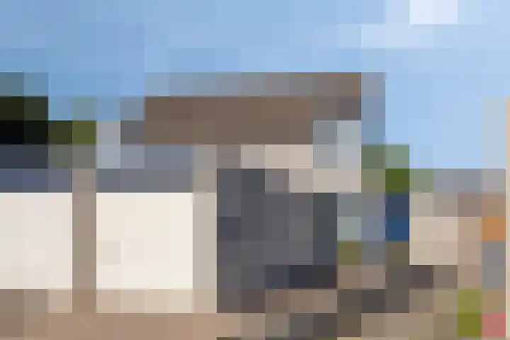 Penningkruid 73 Cuijk thumbnail 41