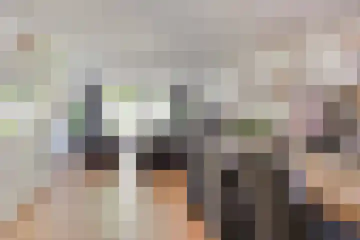 Penningkruid 73 Cuijk thumbnail 7
