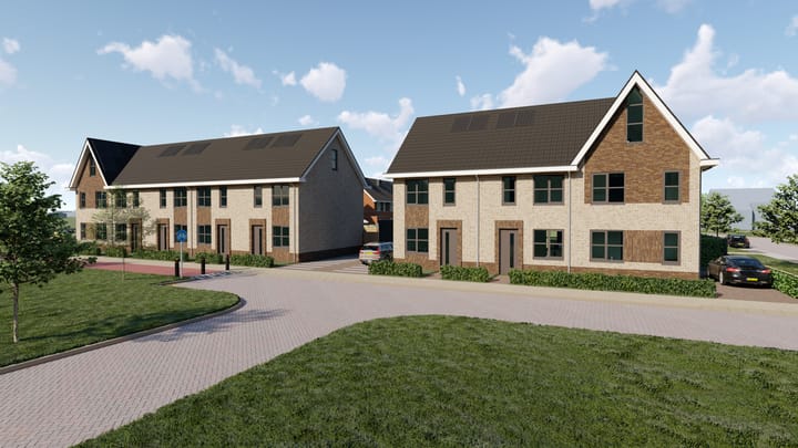 Penningkruid 8 in Vroomshoop photo