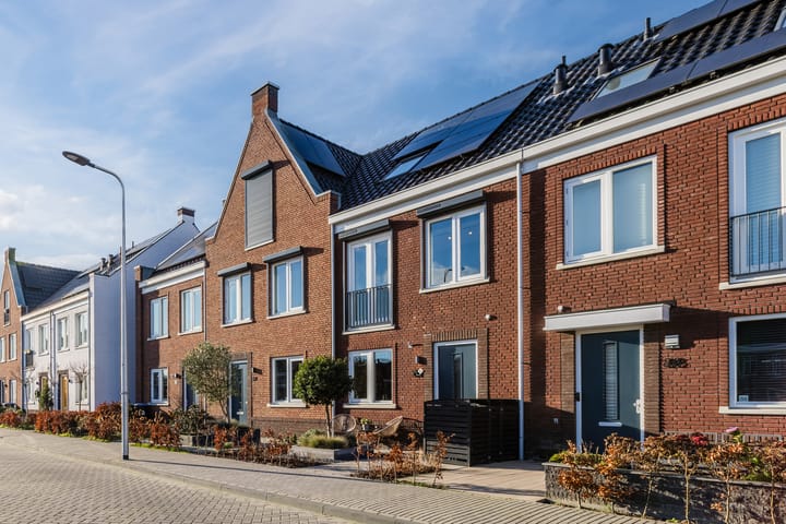 Penningkruid 86 en Bodegraven foto