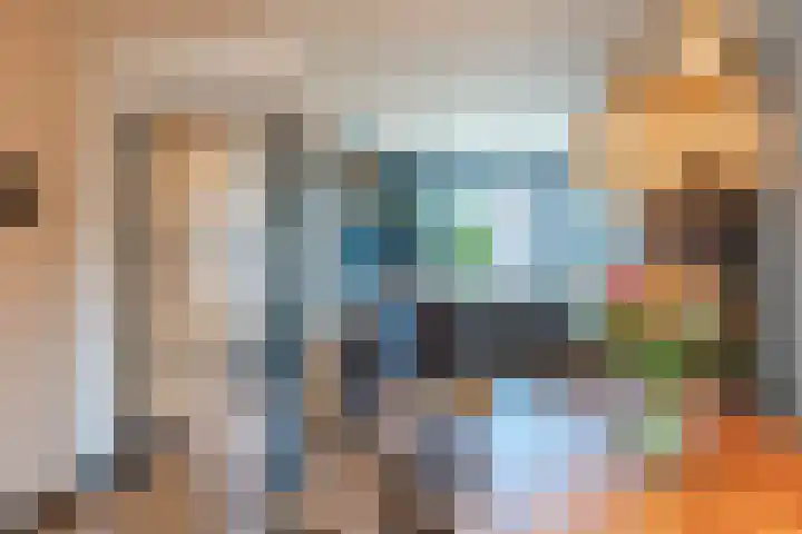 Penningkruid 86 Bodegraven thumbnail 15