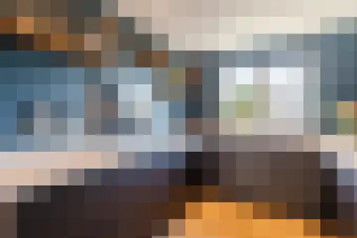 Penningkruid 86 Bodegraven thumbnail 18