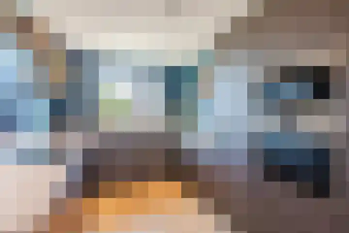 Penningkruid 86 Bodegraven thumbnail 20