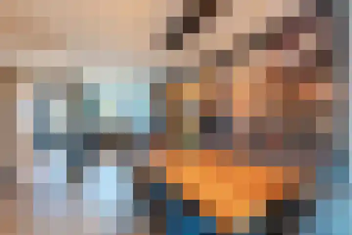 Penningkruid 86 Bodegraven thumbnail 22