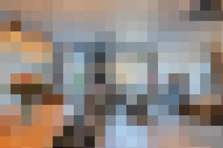 Penningkruid 86 Bodegraven thumbnail 25