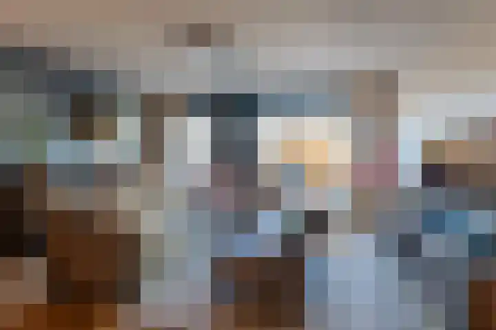 Penningkruid 86 Bodegraven thumbnail 28