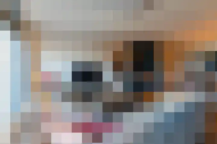 Penningkruid 86 Bodegraven thumbnail 30