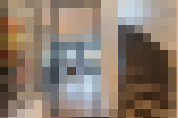 Penningkruid 86 Bodegraven thumbnail 33