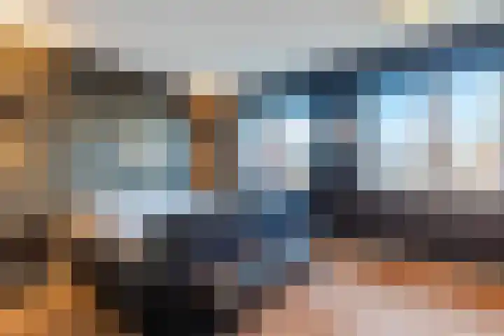 Penningkruid 86 Bodegraven thumbnail 36