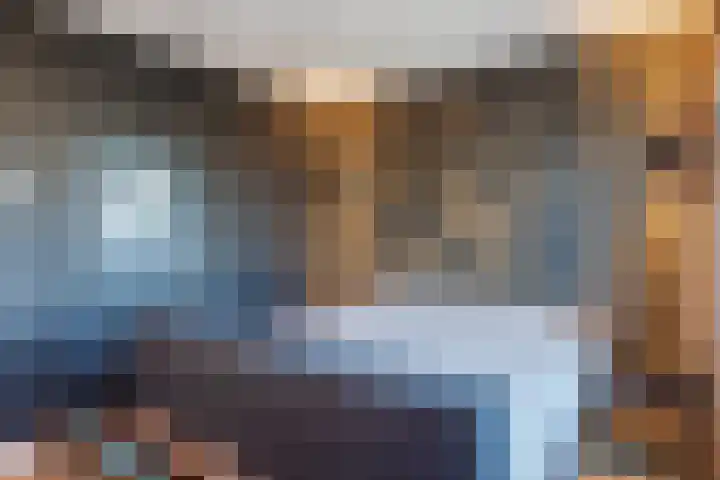 Penningkruid 86 Bodegraven thumbnail 37