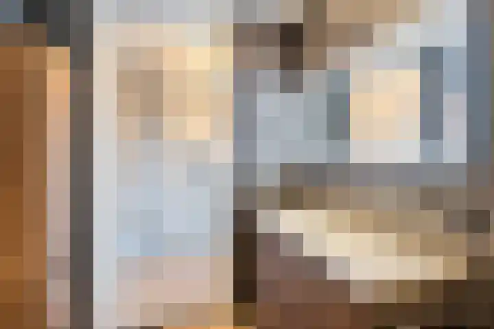 Penningkruid 86 Bodegraven thumbnail 38