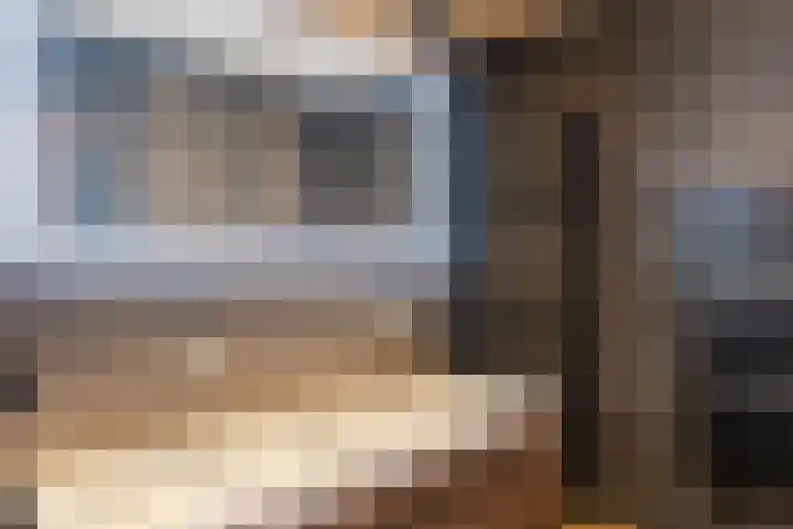 Penningkruid 86 Bodegraven thumbnail 39