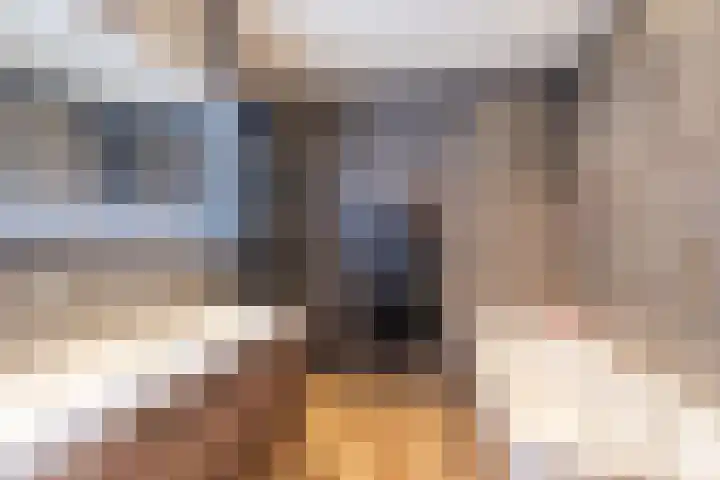 Penningkruid 86 Bodegraven thumbnail 43