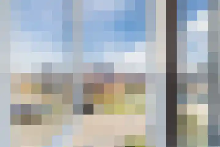 Penningkruid 86 Bodegraven thumbnail 48
