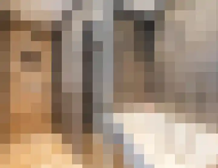 Penningkruid 86 Bodegraven thumbnail 5
