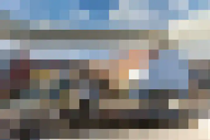 Penningkruid 86 Bodegraven thumbnail 57