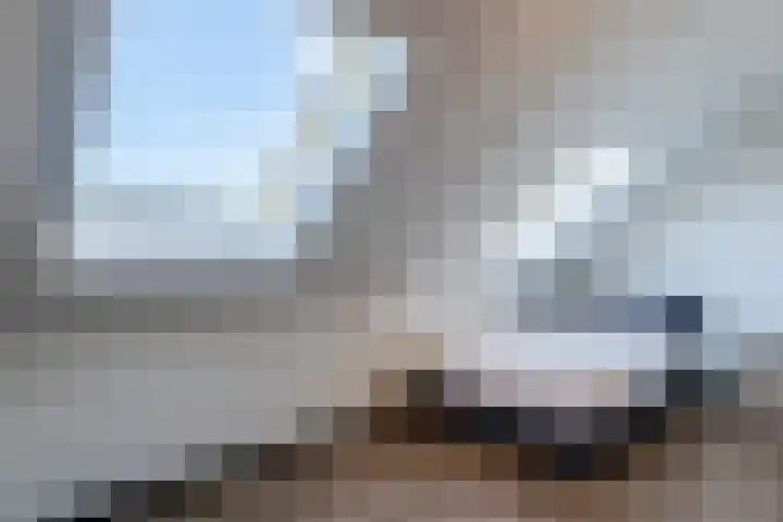 Penningkruid 86 Bodegraven thumbnail 58
