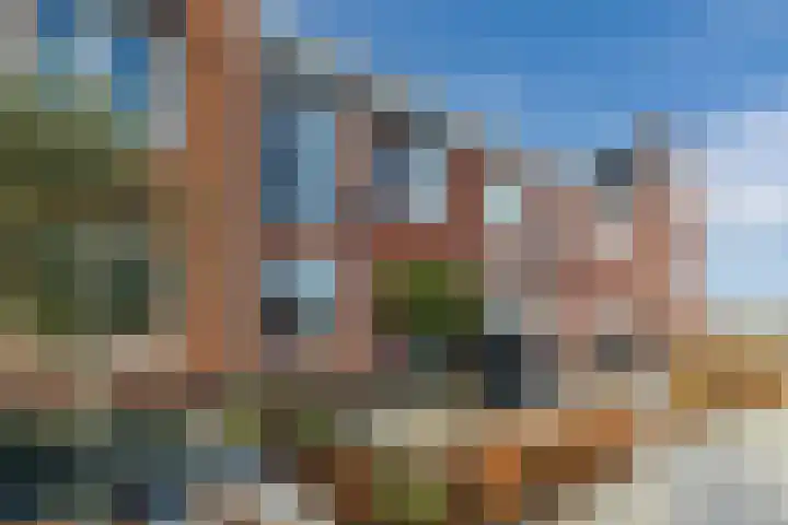 Penningkruid 86 Bodegraven thumbnail 6