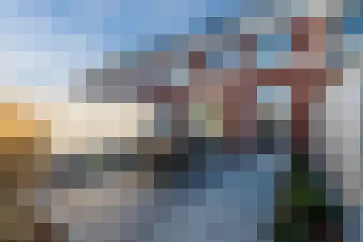 Penningkruid 86 Bodegraven thumbnail 63