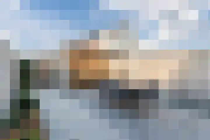 Penningkruid 86 Bodegraven thumbnail 65