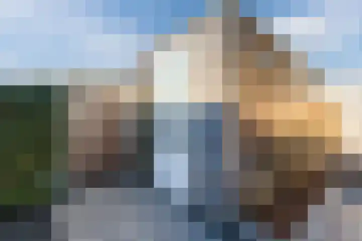 Penningkruid 86 Bodegraven thumbnail 67